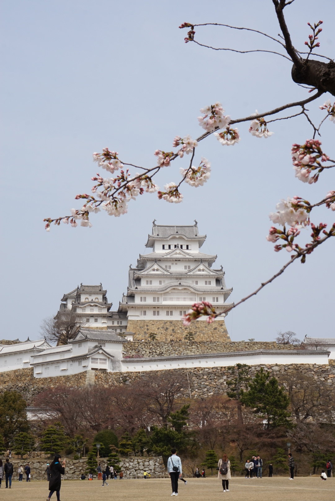 AndyHotDog 分享的打卡照片